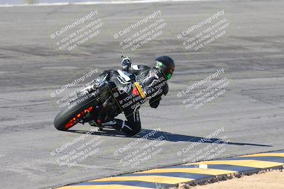 media/Feb-04-2024-SoCal Trackdays (Sun) [[91d6515b1d]]/4-Bowl Backside (11am)/